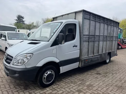 Mercedes-Benz Sprinter 515 **ANIMALTRANSPORT-ONLY 176"KM**